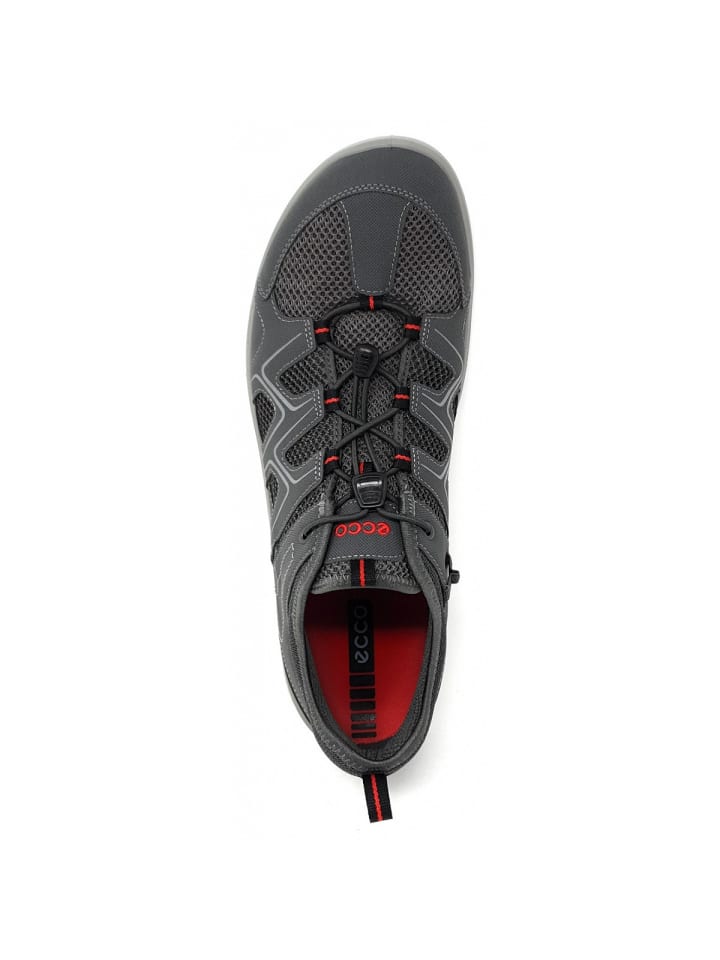 Ecco sportlicher Schnürer Terracruise LTM Low in Grau günstig kaufen