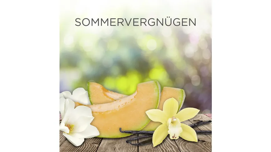 Air Wick Duftölflakon Starter-Set Sommervergnügen