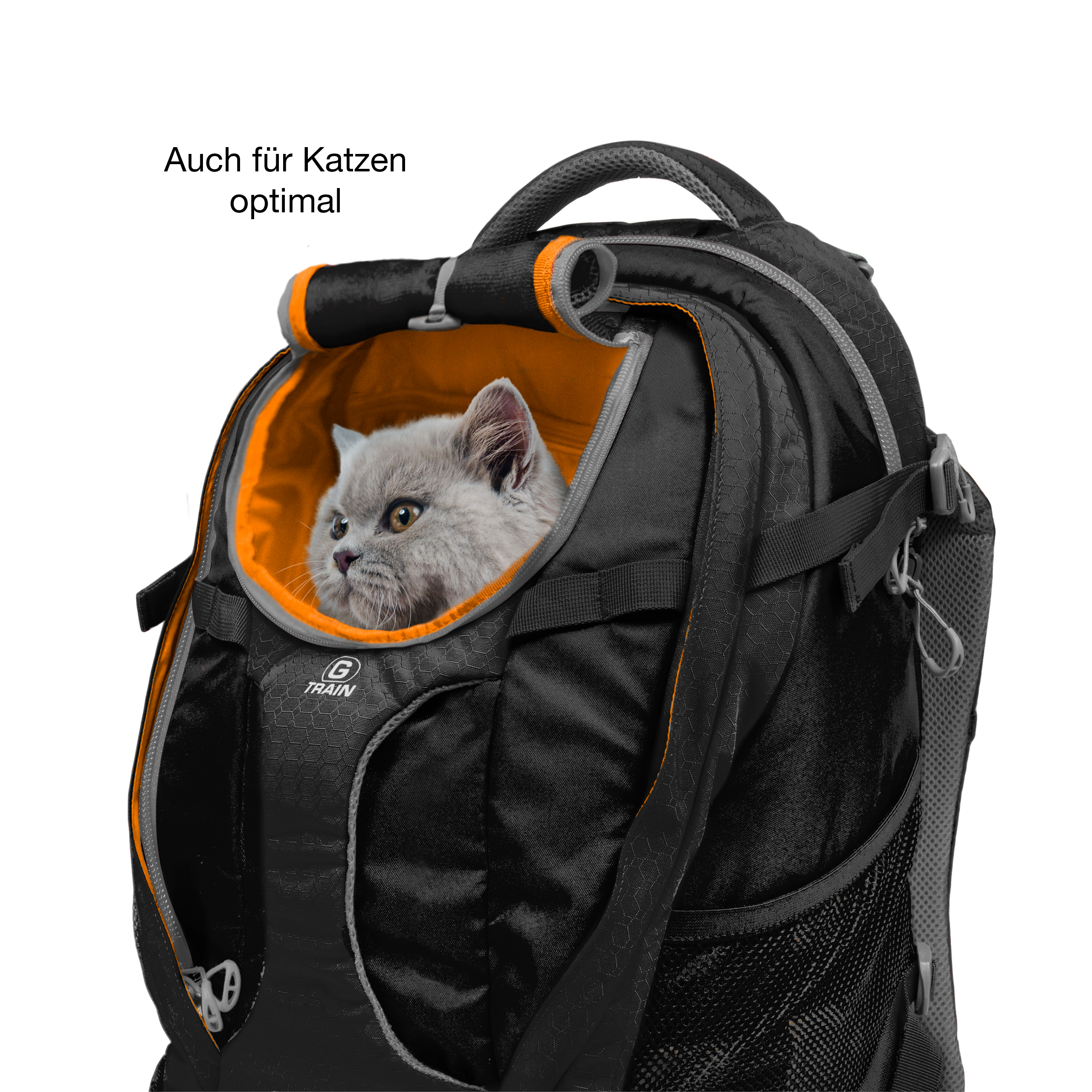 Kurgo Tragetaschen Kurgo Hunderucksack G-Train navy