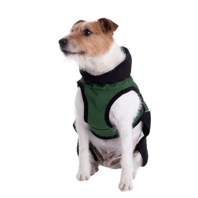 Softshell-Hundemantel