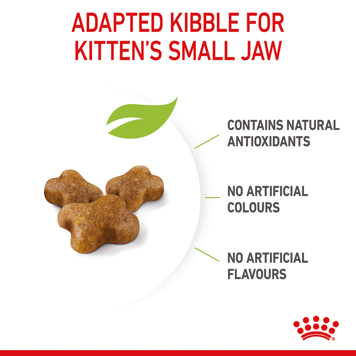 ROYAL CANIN KITTEN Trockenfutter für Kätzchen kaufen