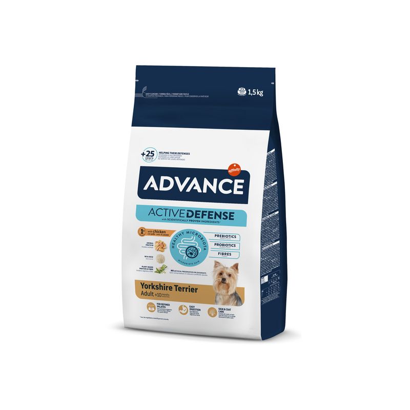 Advance Yorkshire Terrier Adult