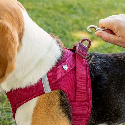 Curli Vest Geschirr Clasp Air-Mesh, fuchsia