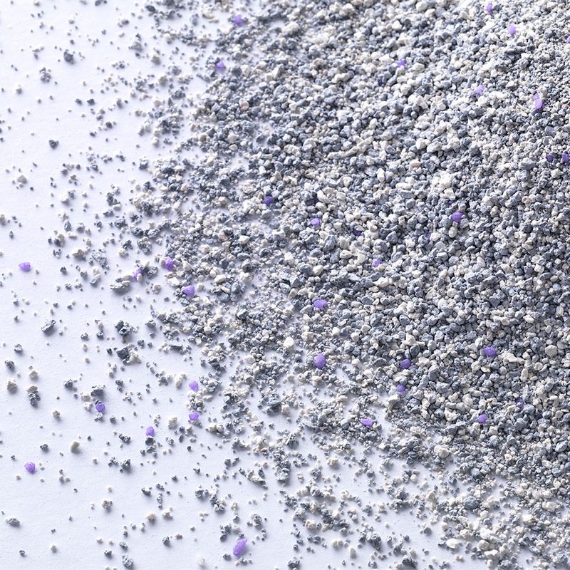 Ever Clean Lavender Klumpstreu zu TOP-Preisen