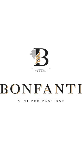 2021 Valpolicella DOC trocken Bio - Bonfanti Vini