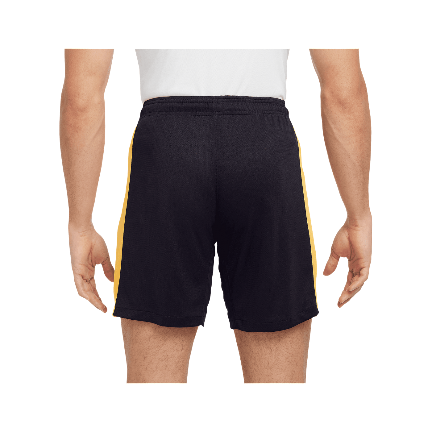 Nike Inter Mailand Short 3rd 2024/2025 Blau F498
