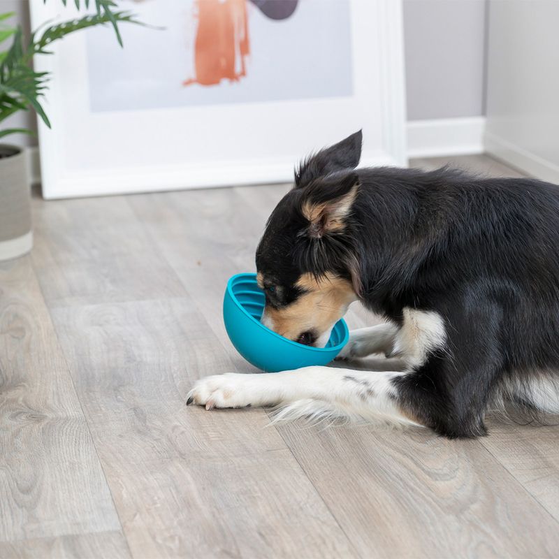 Trixie Lick'n'Snack Bowl zu TOP-Preisen