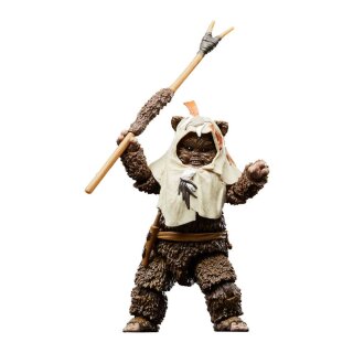 Star Wars Episode VI 40th Anniversary Black Series Actionfigur: Paploo