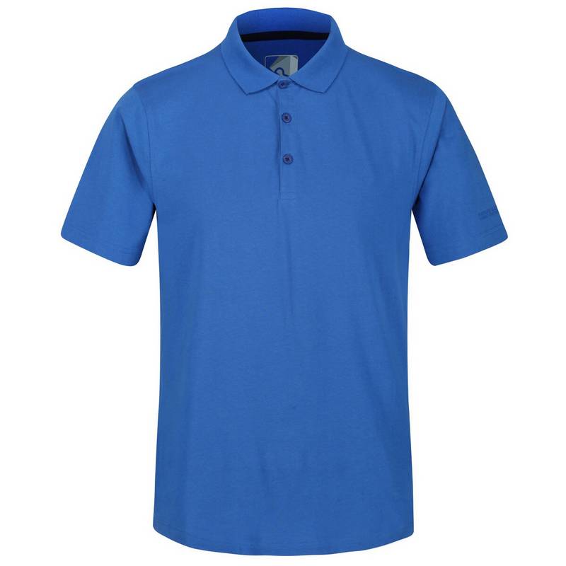 Regatta Sinton Poloshirt Herren