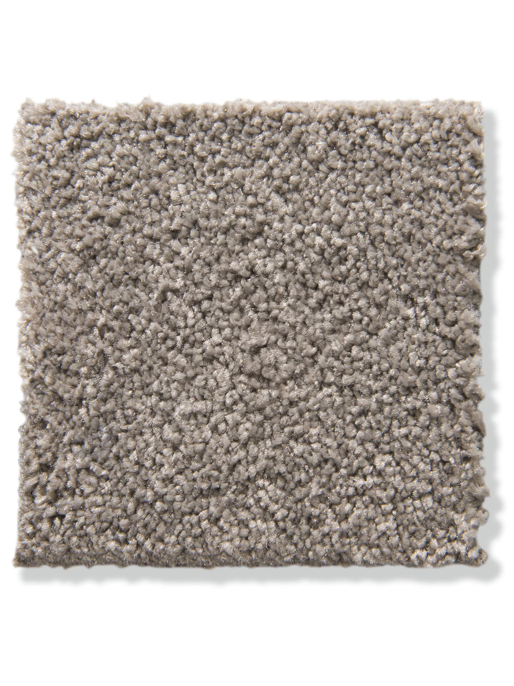 Cirella Velours-Teppichboden, Latte Macchiato 43