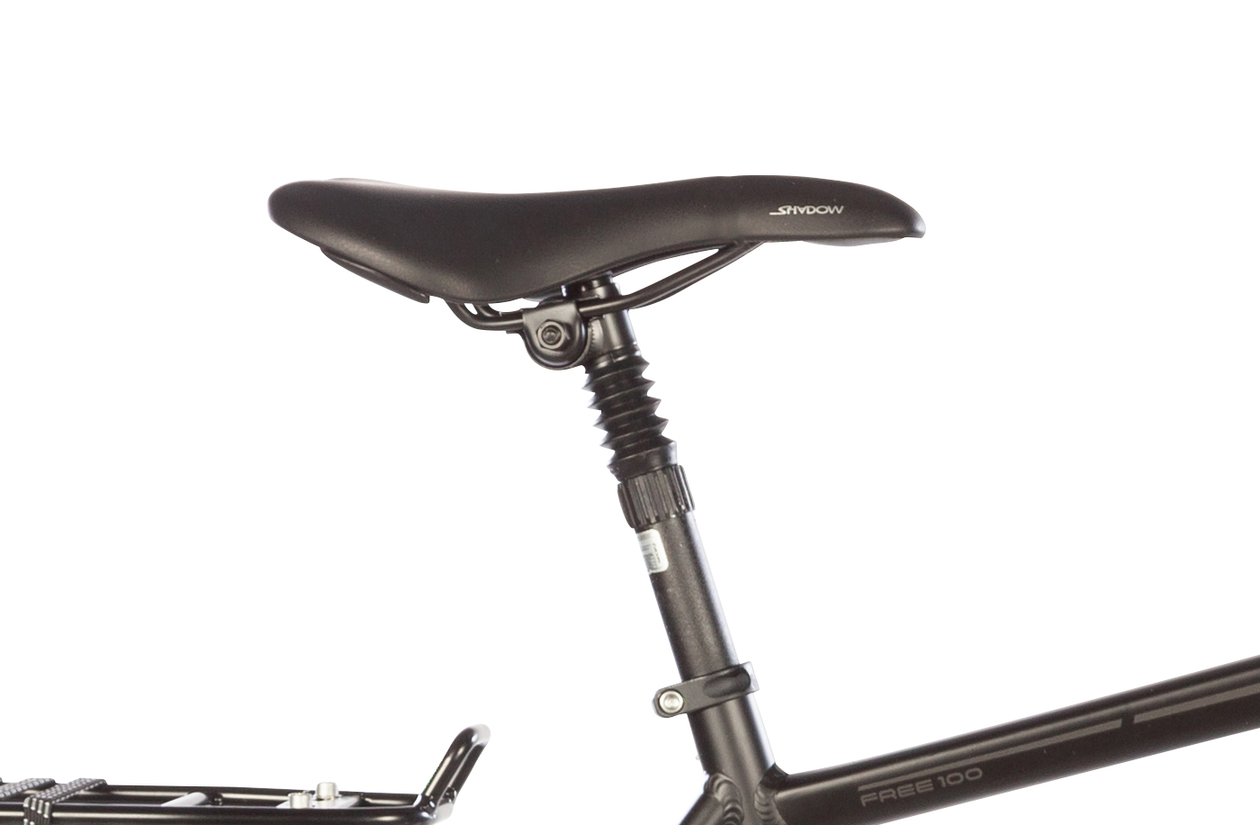 Lakes Free 100 - 2024 - 28 Zoll - Diamant