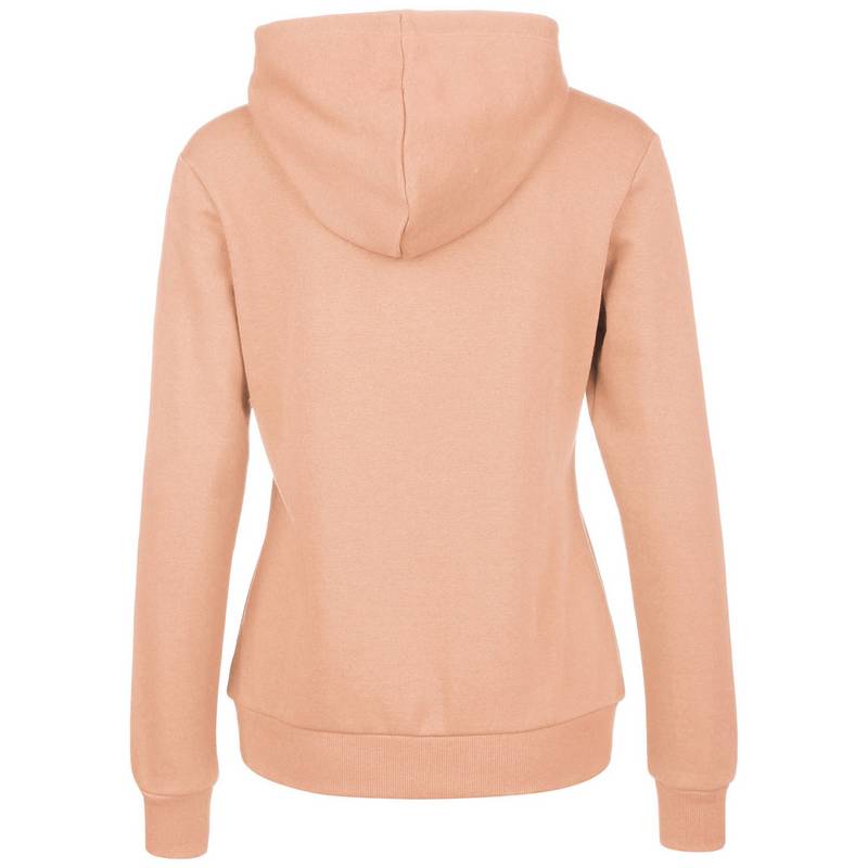 PUMA Essentials Logo FL Hoodie Damen