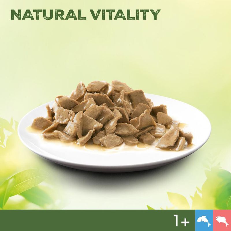 Perfect Fit Natural Vitality Adult 1+ zu TOP-Preisen | bitiba %