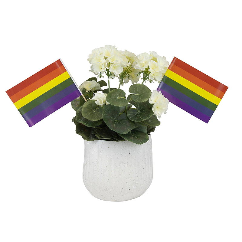 Giform Blomsterpinne 6-pk, regnbue