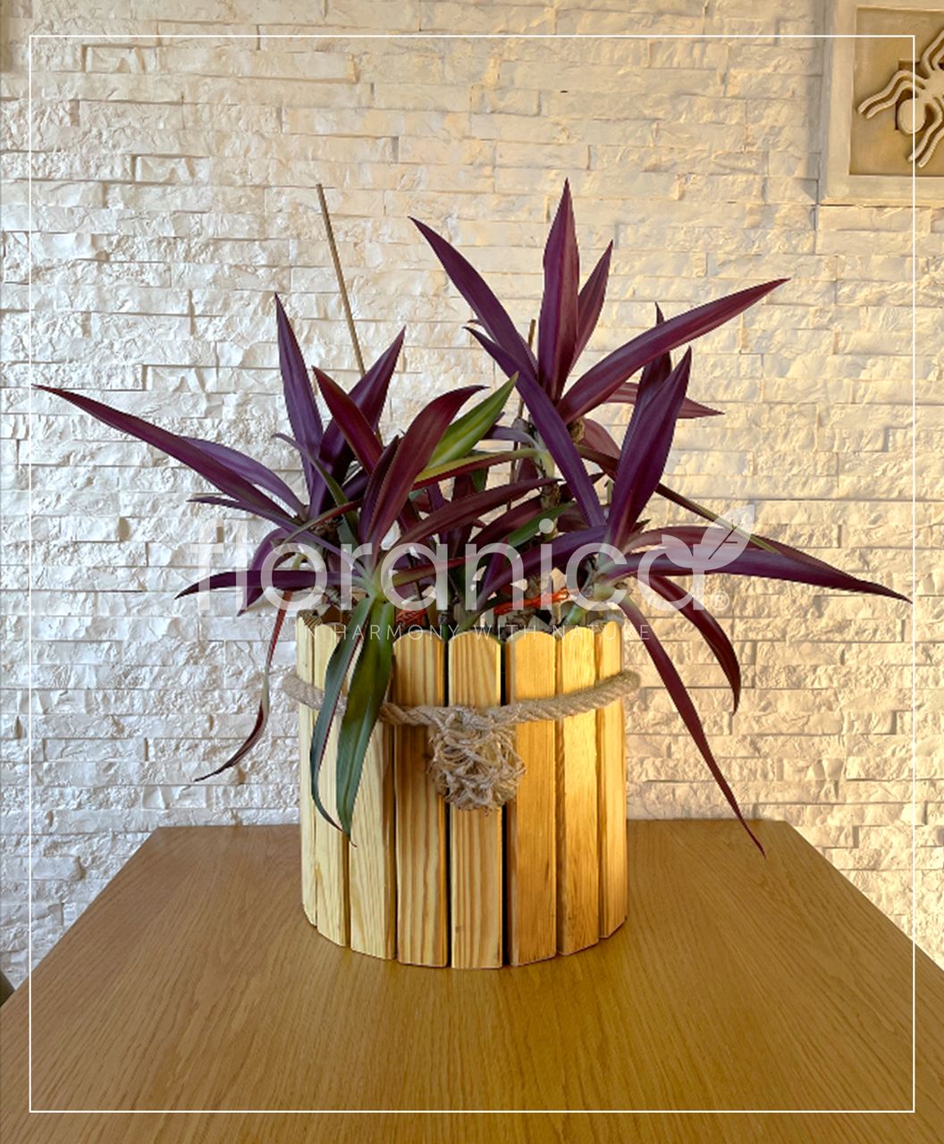 Pemicont Floranica Runder Blumentopf aus Holz 33x20cm Natutal Imprägnierte Kiefer Gehäuse für Kräuter Blumen Haus- und Gartendekoration Truhe Für den Innen- und Außenbereich EU-Produkt