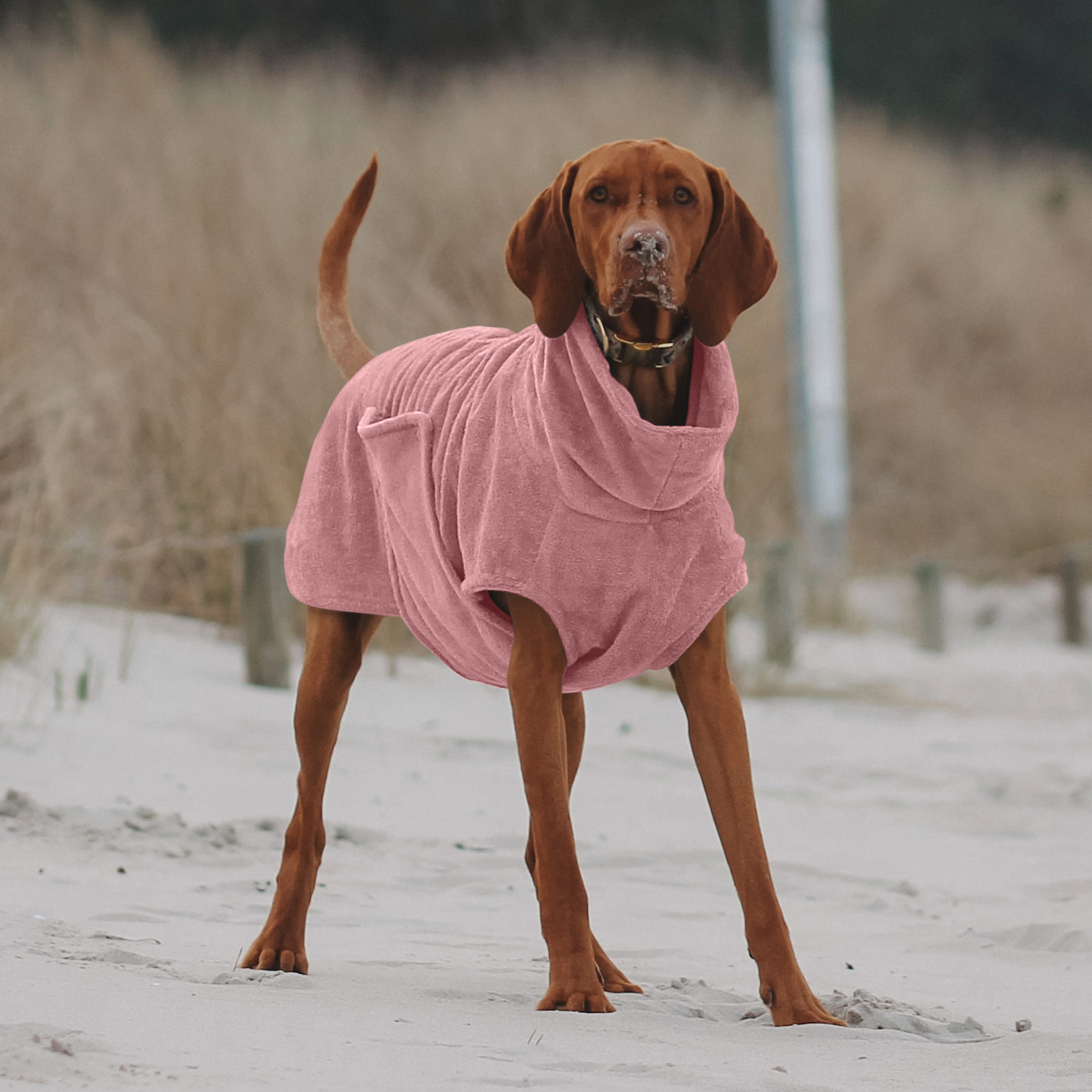THE DOG IDEA Hundemäntel THE DOG IDEA Bademantel Every Rosa M