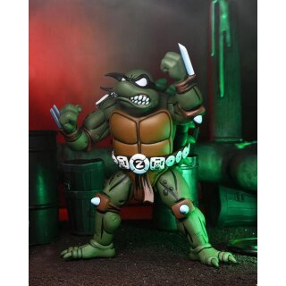 Teenage Mutant Ninja Turtles (Archie Comics) - Slash