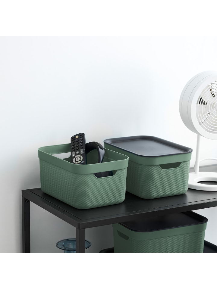 Rotho Jive Dekobox 3er-Set Aufbewahrungskorb 5l in Sea Spray green ged. günstig kaufen onesize