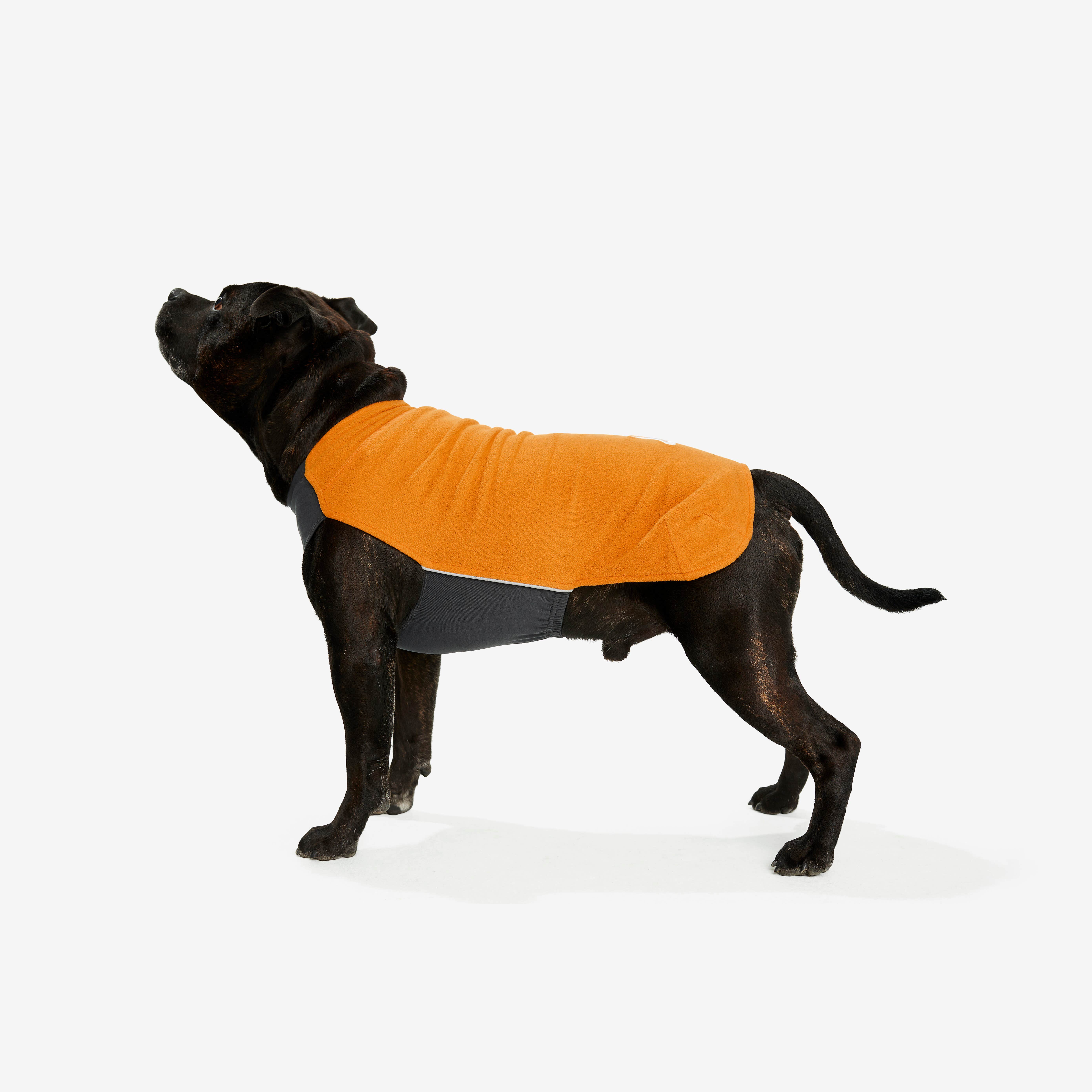 Trekker Fleece Chien Radiant Yellow