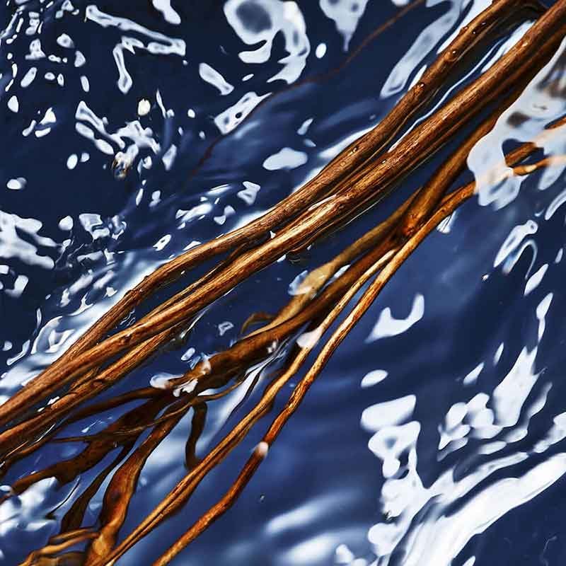 Davidoff Cool Water Man Oceanic Edition Eau de Toilette Nat. Spray