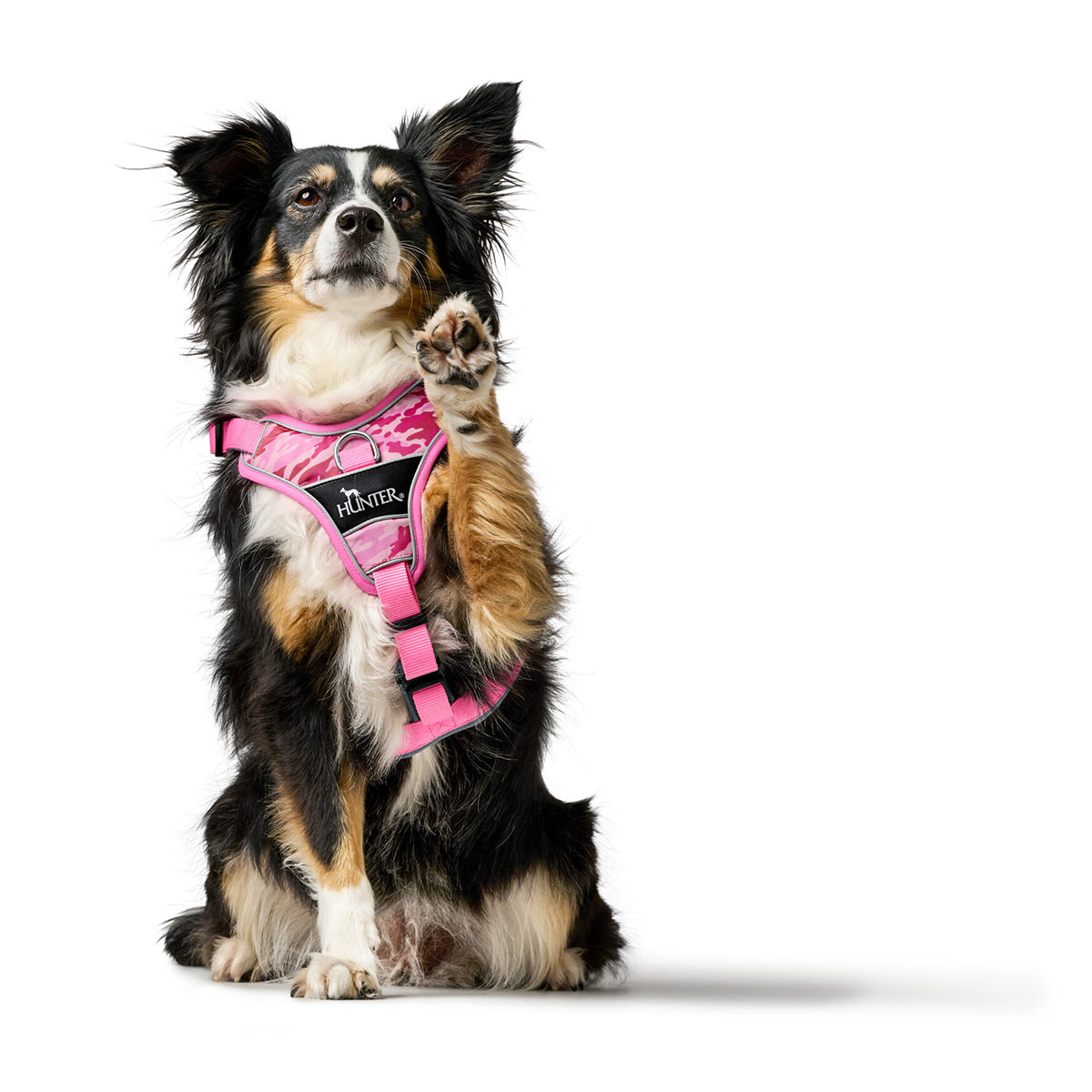 Hunter Geschirr Divo Camouflage rosa günstig kaufen bei ZooRoyal