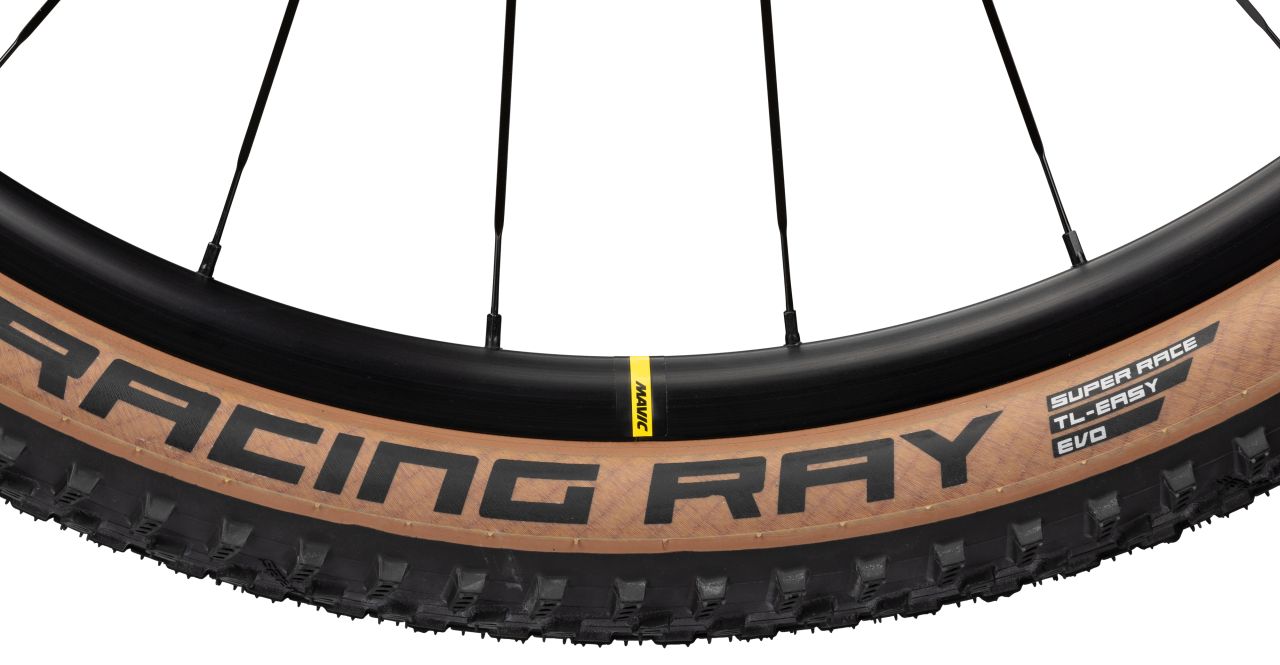 Radon Jealous AL 10.0 kaufen | Bike-Discount