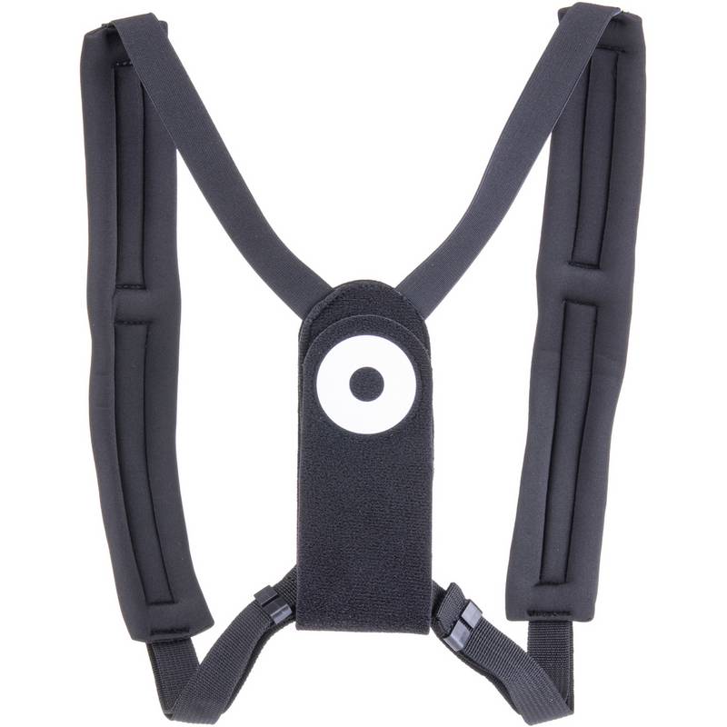 BLACKROLL Poture Pro Rückentrainer