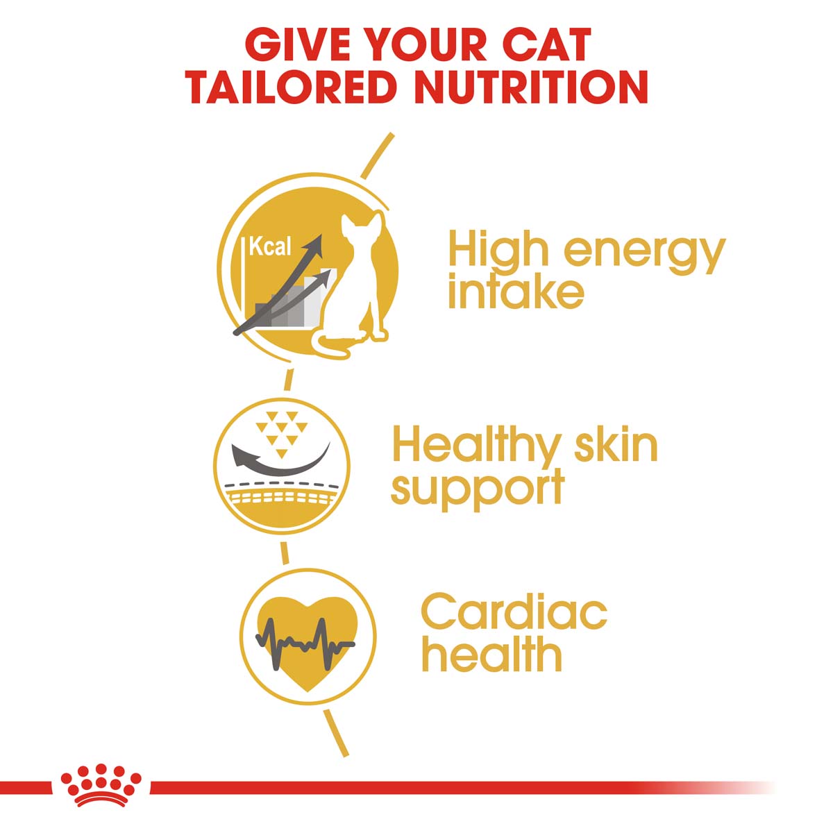 ROYAL CANIN Sphynx Adult Katzenfutter trocken kaufen
