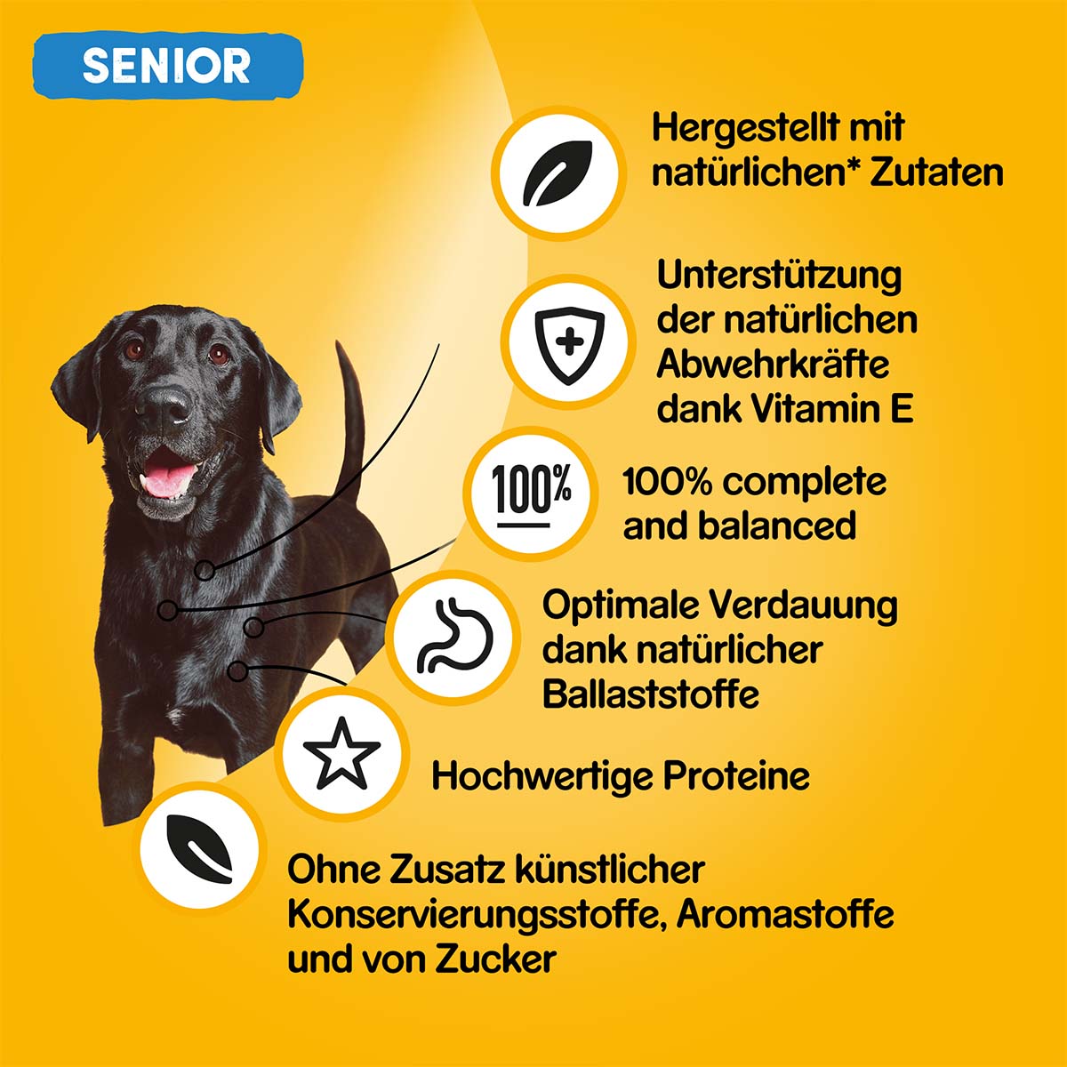 Pedigree Senior mit Lamm und Geflügel in Pastete bei ZooRoyal