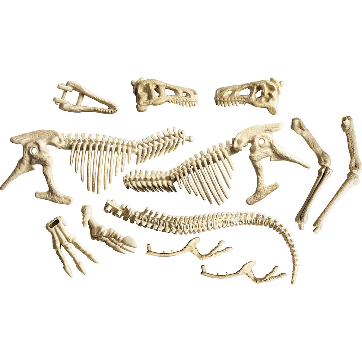 Galileo Discovery - Ausgrabungs-Set T-Rex & Fossil Modellier-Set