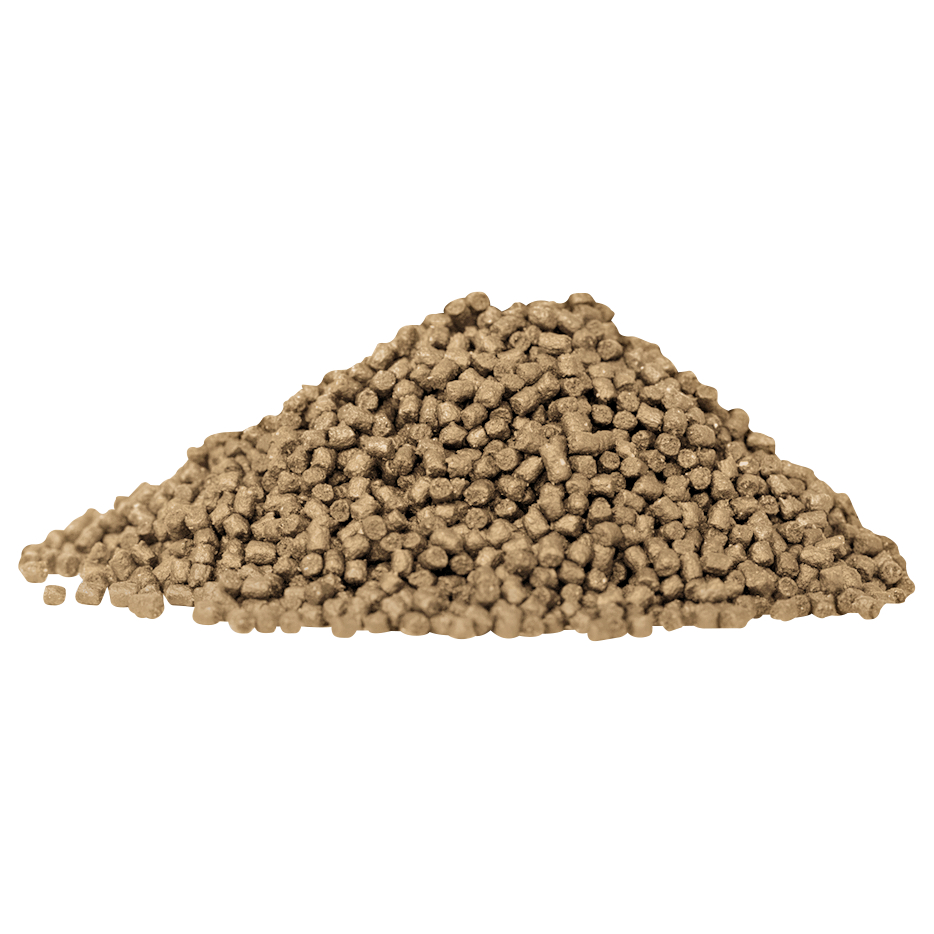 Daiwa Friedfischfutter Advantage Method Box (Natural)