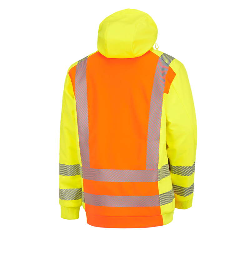 Warnsch. Winter Softshelljacke e.s.motion 2020