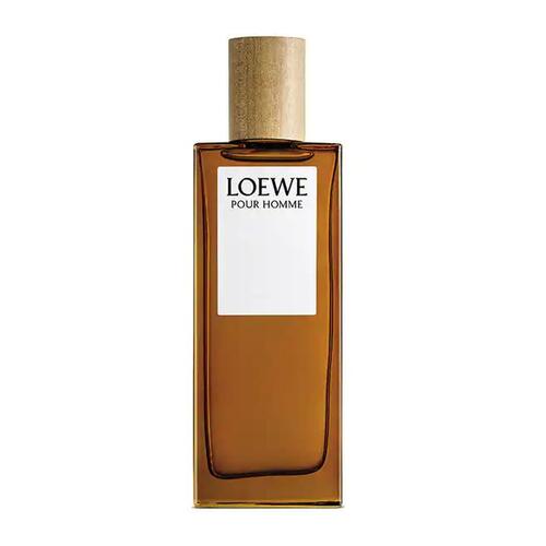 Loewe Pour Homme toaletna voda 100 ml