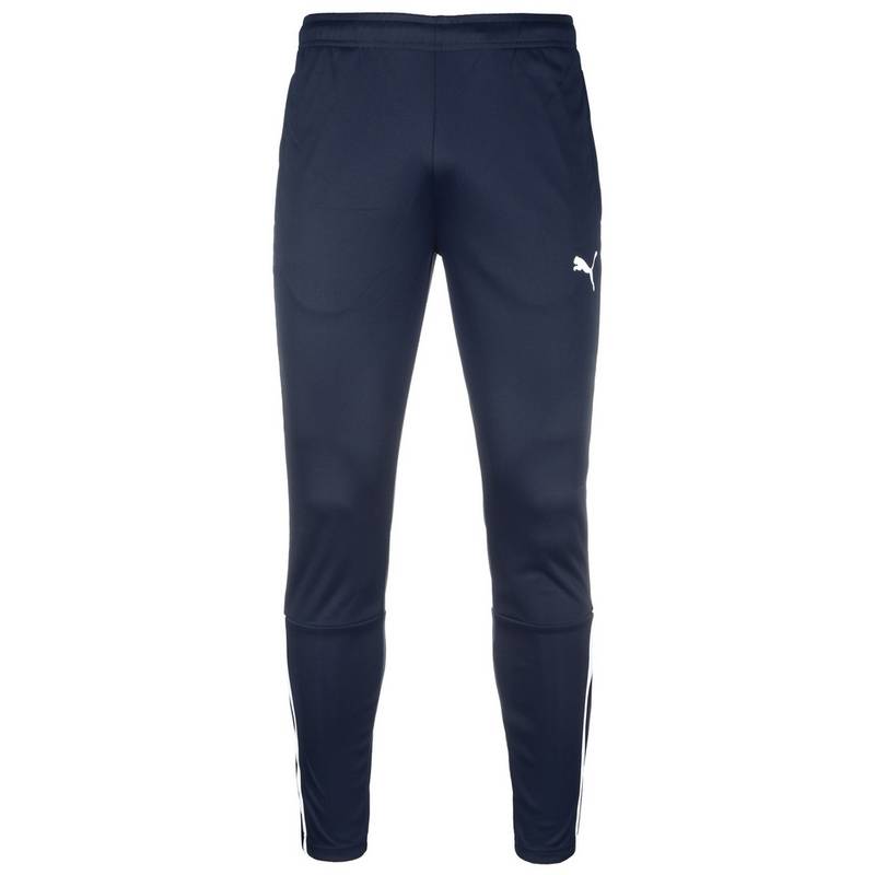 PUMA teamLIGA Trainingshose Herren