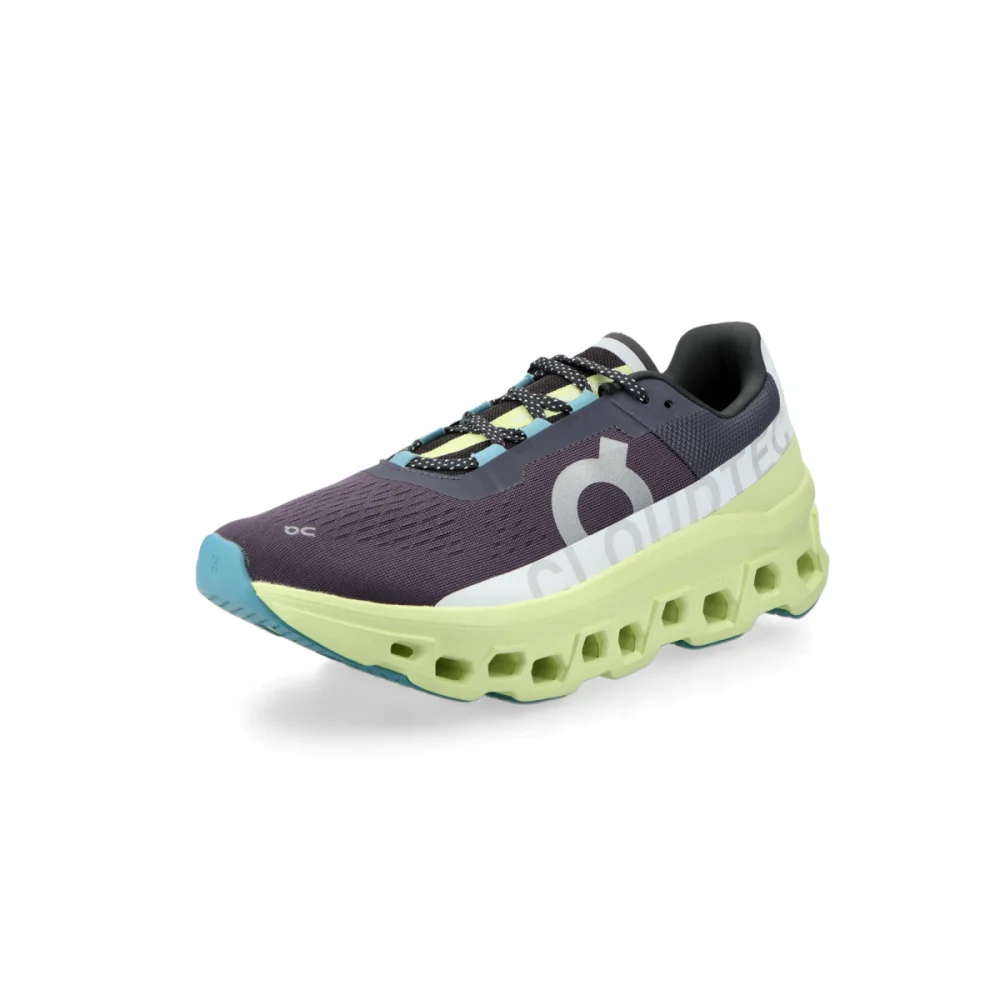 ON Cloudmonster 61-98244 / grau