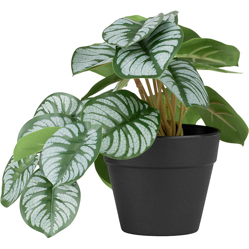 Home Grønnplante 17 cm kunstig Taro/Alocasia
