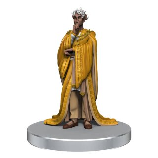 Critical Role: NPCs of Wildemount - Set (pre-painted) (9)