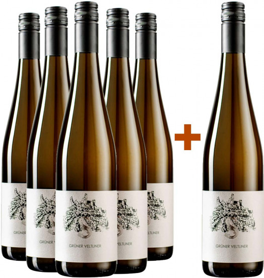 5+1 Paket Grüner Veltliner trocken - Andrea Schenter