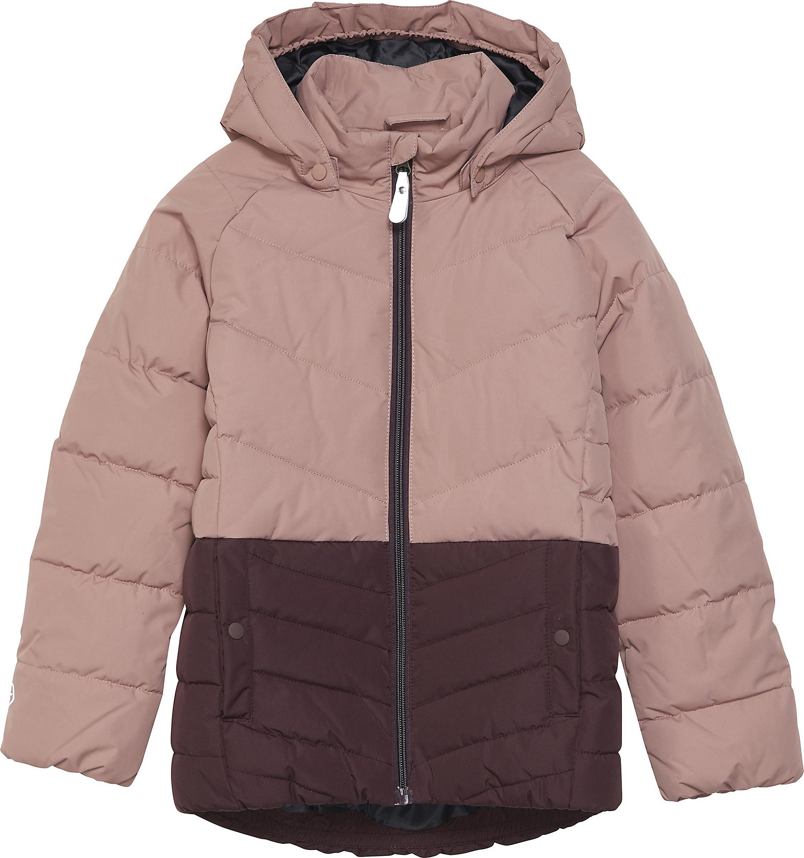 Winter Jacket