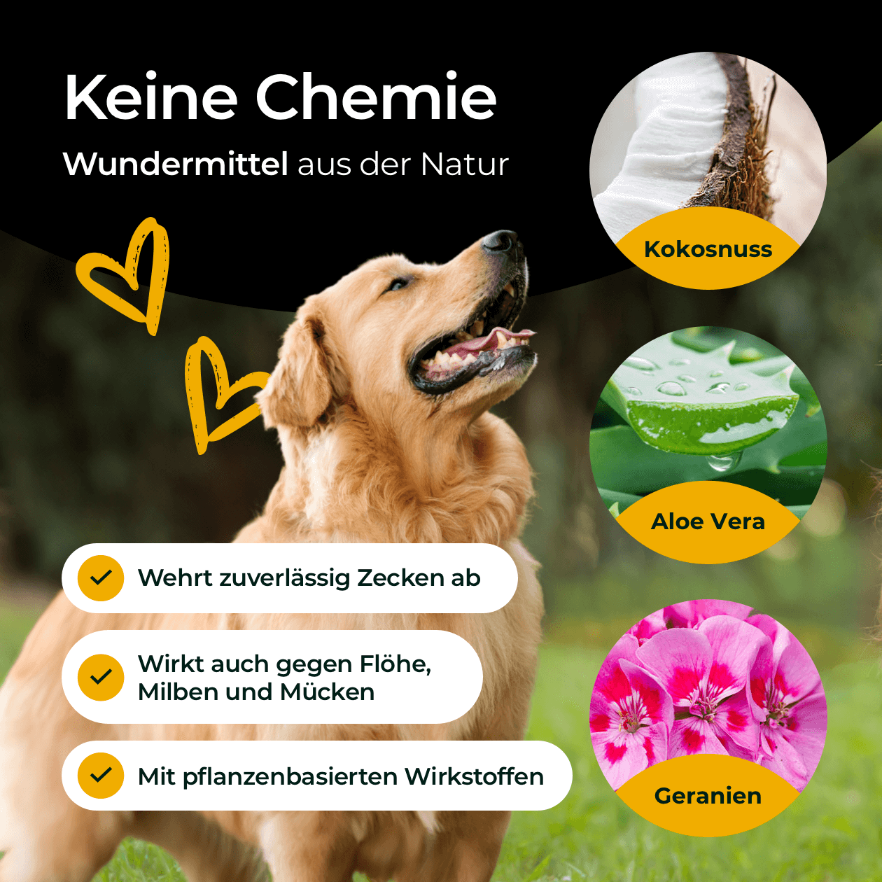 HUNDPUR Fellpflege HUNDPUR ® Zecken Tinktur mit Schutzkomplex
