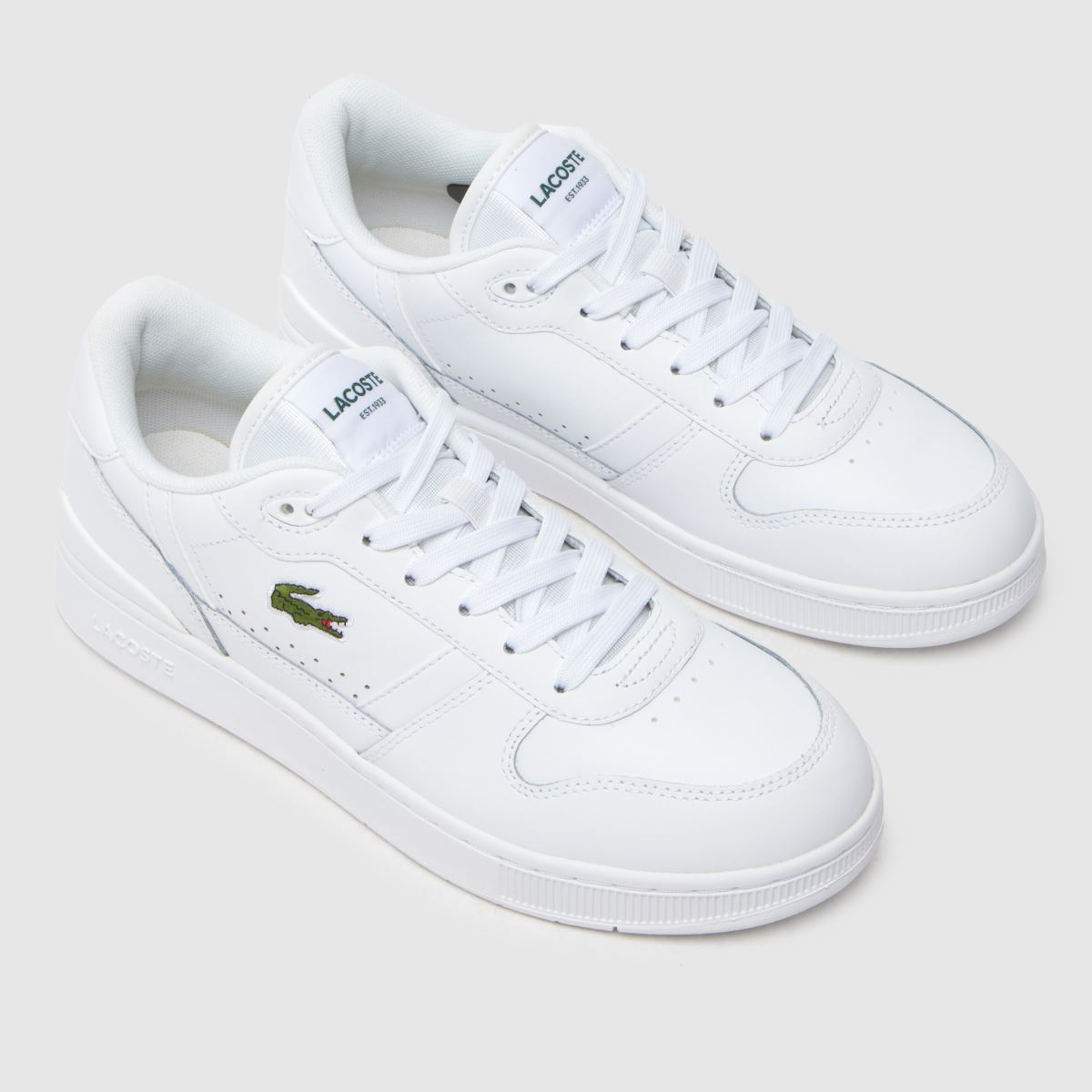 Lacoste komplet športnih copat s sponko v beli barvi