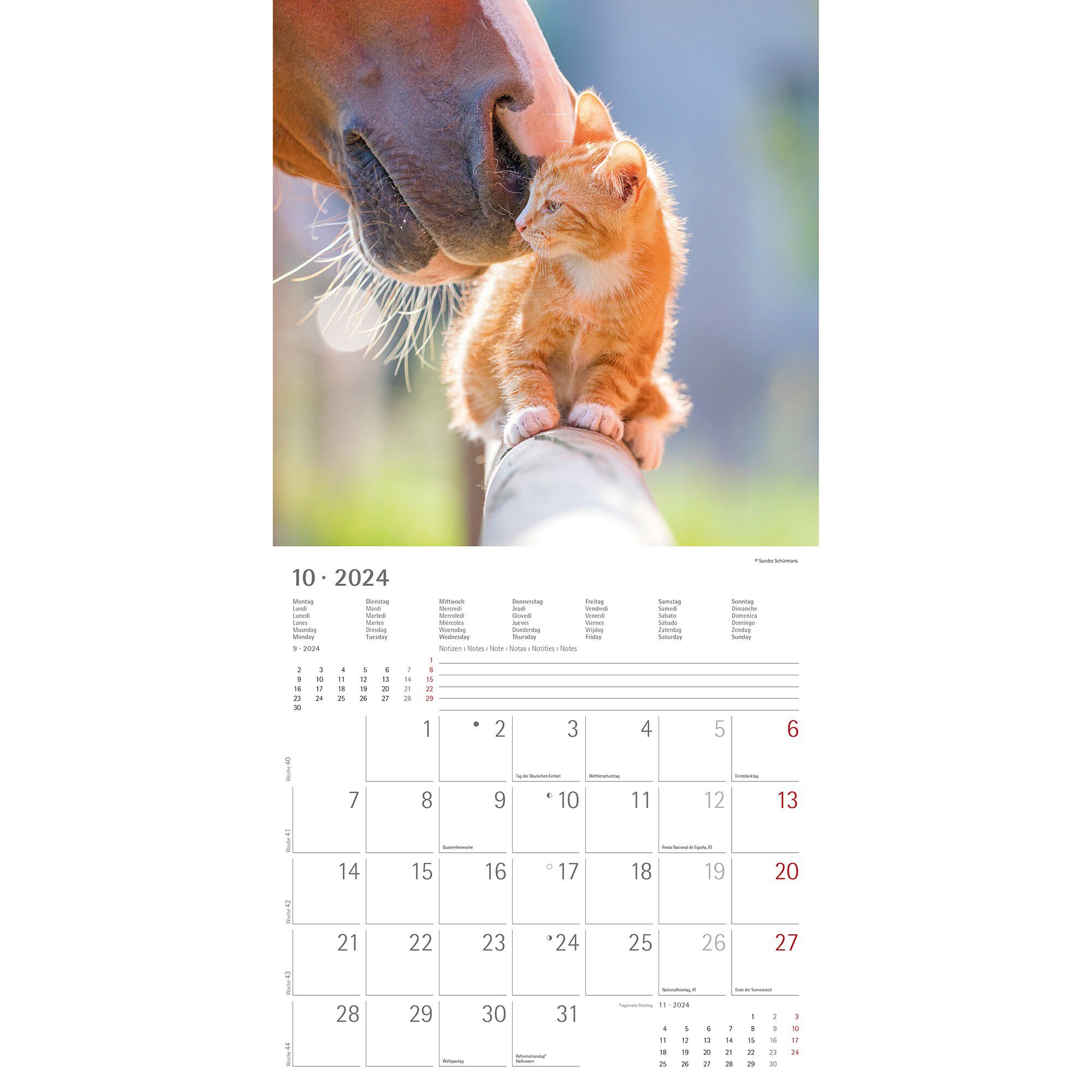 Calendrier 2024 amis animaux