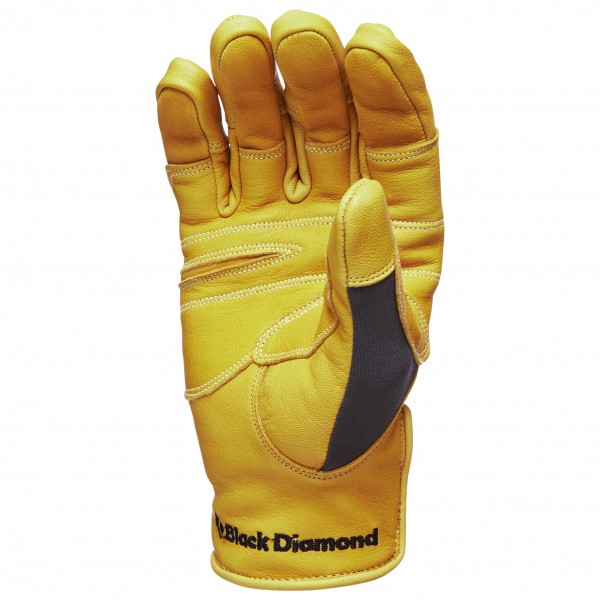 Black Diamond - Transition Gloves