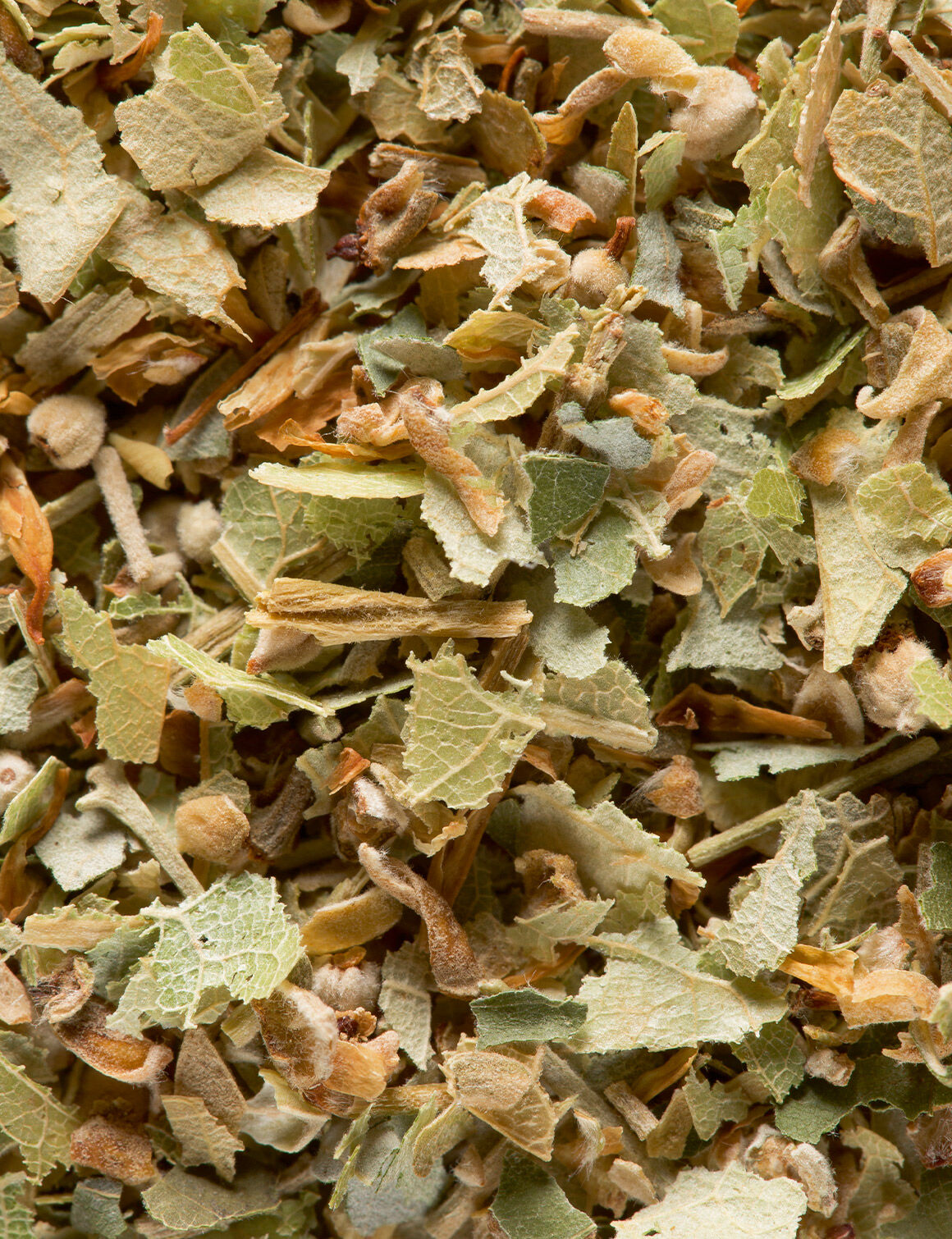 Tilleul-25 sachets