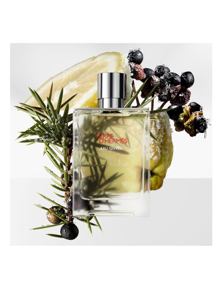HERMÈS Terre d'Hermès Eau Givrée parfimērijas ūdens