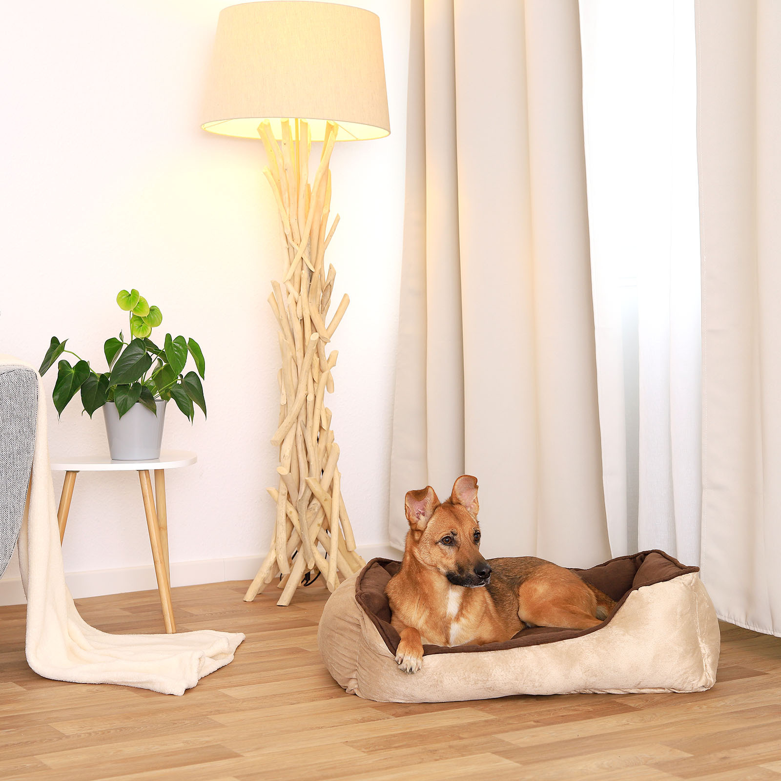Lionto Hundebetten Lionto 2-in-1 Hundebett Hundekissen M