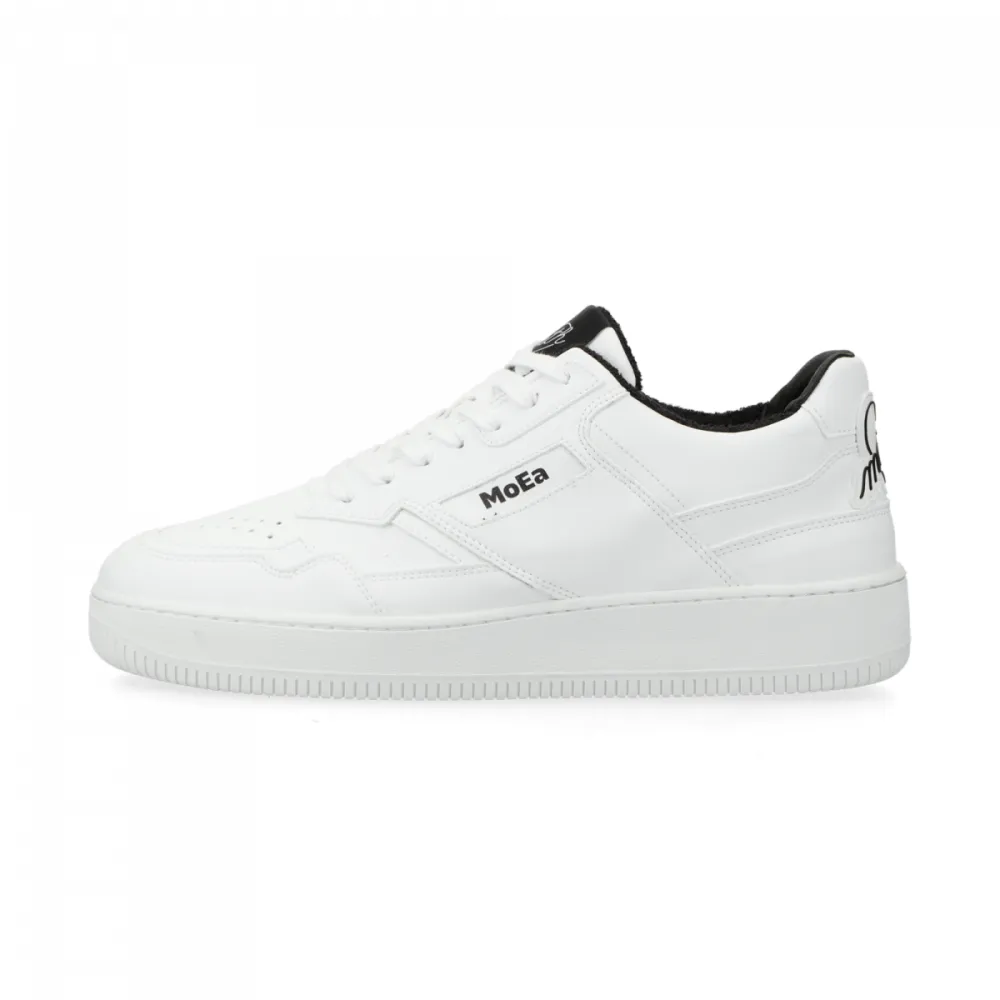MoEa x Jean Andre GEN 1 Grapes MOEA-BASGN1-29 / weiss