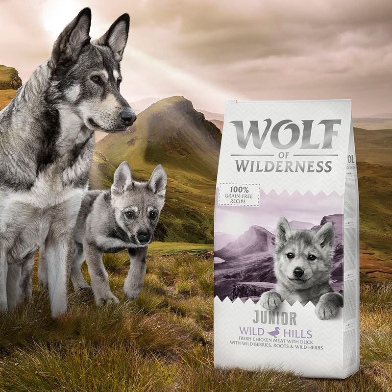 Wolf of Wilderness Junior - 'Wild Hills' - Ente