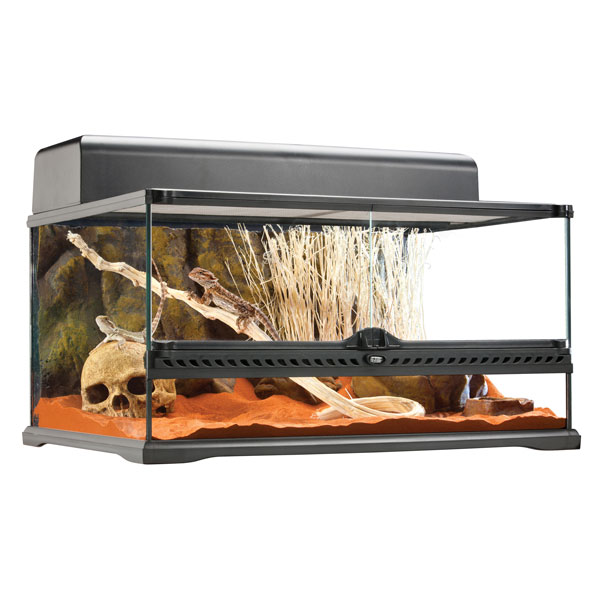 Exo Terra Terrarienkombination 60x45x30 cm kaufen