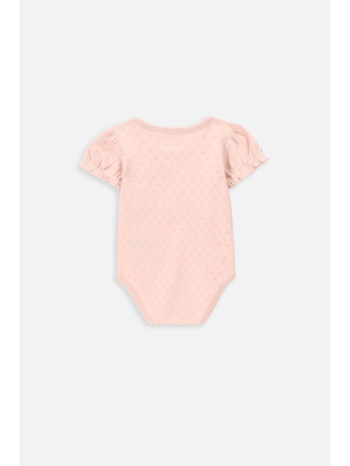 Coccodrillo Body mit kurzen Ärmeln in gedämpftes Rosa günstig kaufen